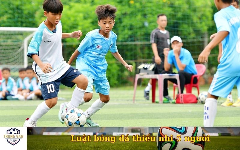 Luật bóng đá thiếu nhi 5 người