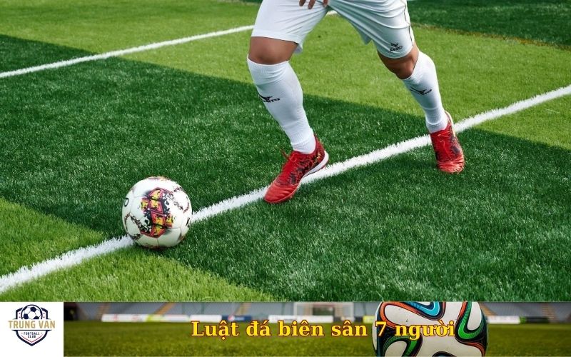 Luật đá biên sân 7 người