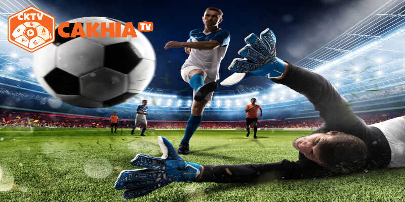 Trang trực tiếp tuân thủ nghiêm ngặt các chính sách bản quyền