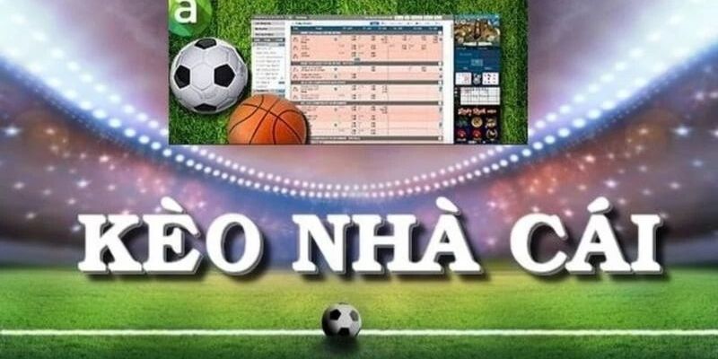 Màn hình máy tính hiển thị bảng kèo với nhiều thông tin chi tiết