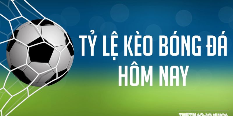 Một người đang cầm điện thoại và tập trung xem bảng kèo