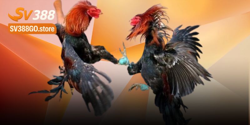 Lợi ích tuyệt vời từ công nghệ 4K