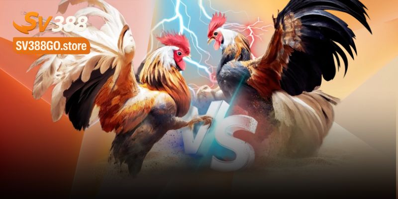 Xu hướng streaming video năm 2026