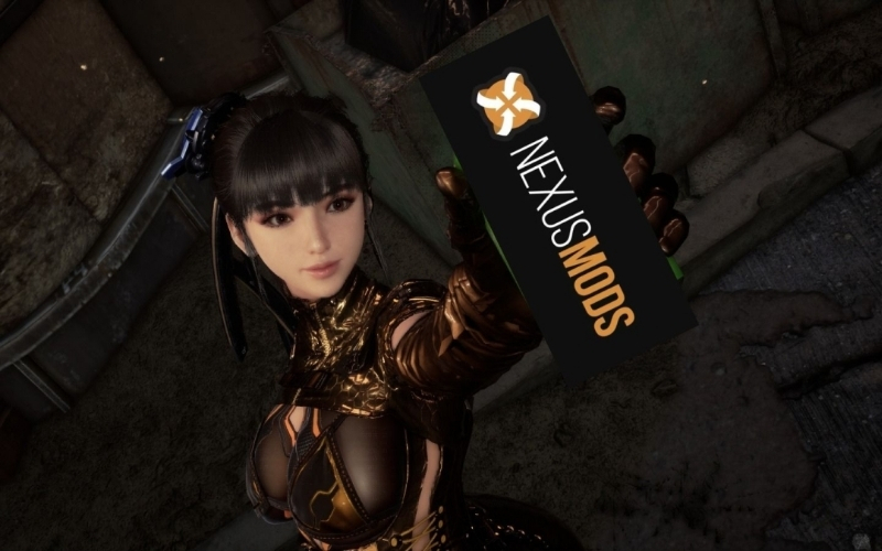 Cầu nối giữa nhà phát triển và cộng đồng người hâm mộ