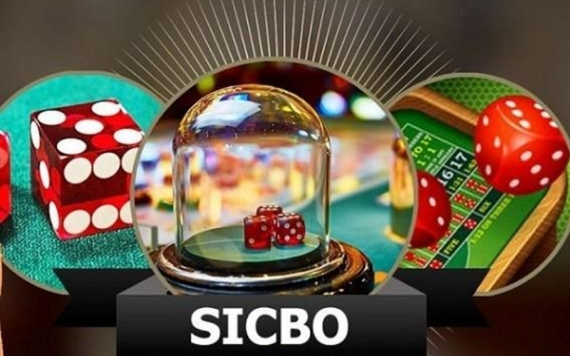 Game xúc xắc online có phù hợp với người mới hay không