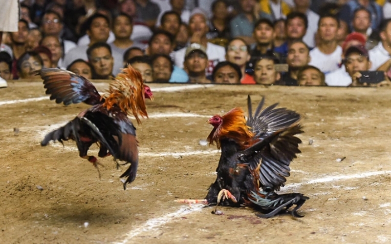 Thời gian thi đấu và cách thức tổ chức trận đấu