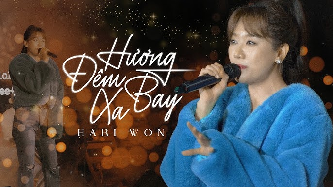 anh-cu-di-di-hari-won